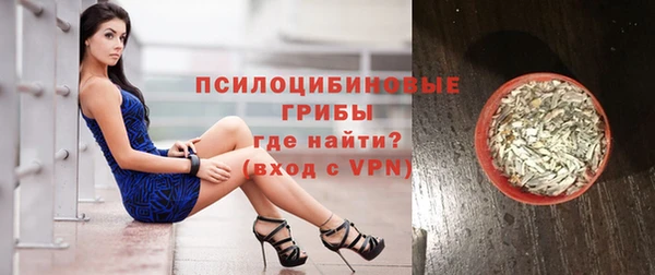 стаф Киренск