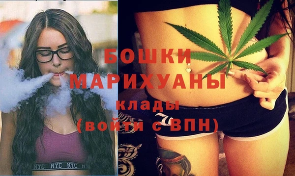 стаф Киренск