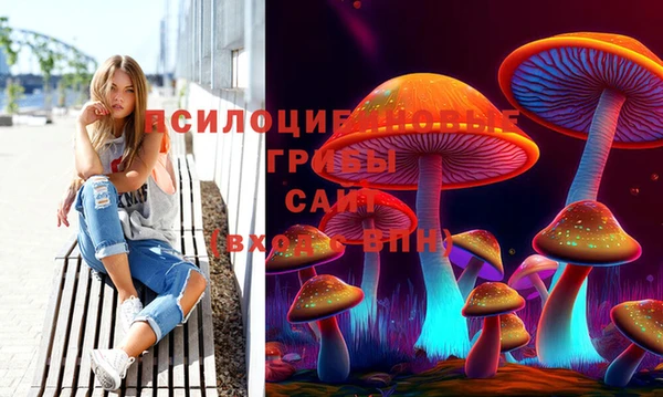стаф Киренск