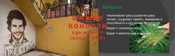 PSILOCYBIN Кинешма