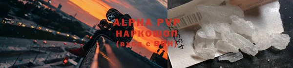 стаф Киренск