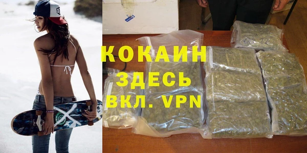 PSILOCYBIN Кинешма