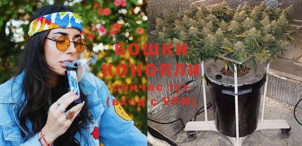 PSILOCYBIN Кинешма