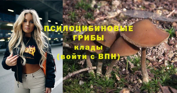PSILOCYBIN Кинешма